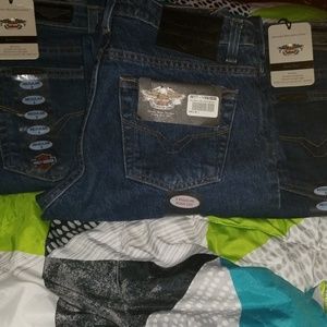 ☆Brand New Women's Harley Davidson Jeans☆